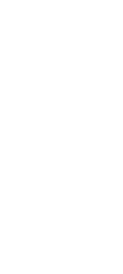 35th Tokyo International Film Festival